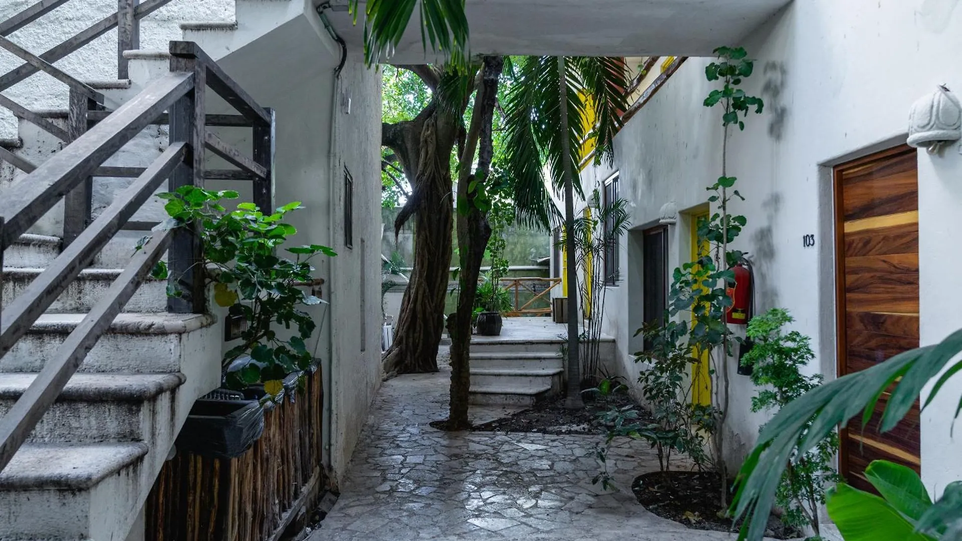 Rustik-Inn Rooms Playa del Carmen Mexique
